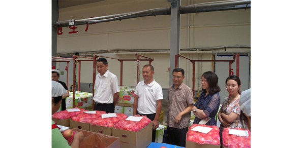 《綠色食品品質(zhì)、營業(yè)功能評價標(biāo)準(zhǔn)課題》調(diào)研在棲霞德豐開展