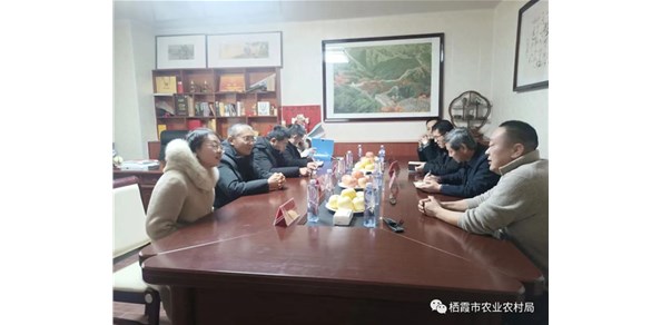 省農(nóng)業(yè)農(nóng)村廳檢查組來我市開展農(nóng)業(yè)標(biāo)準(zhǔn)化生產(chǎn)基地檢查驗(yàn)收