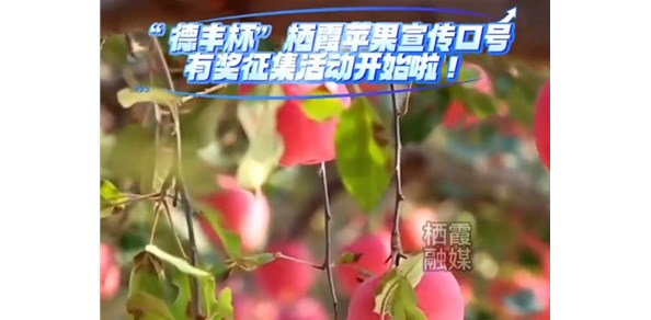 “德豐杯”棲霞蘋果宣傳口號有獎征集活動開始啦