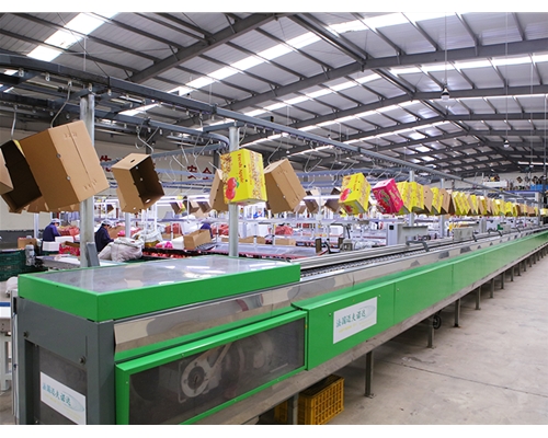 Sorting line