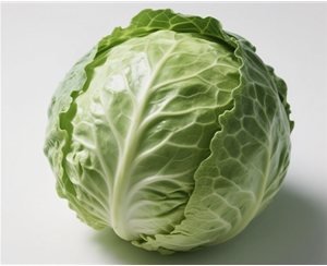 Cabbage